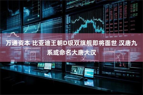 万通资本 比亚迪王朝D级双旗舰即将面世 汉唐九系或命名大唐大汉