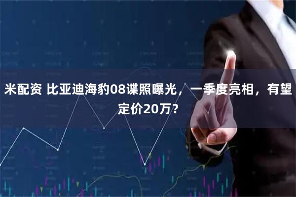 米配资 比亚迪海豹08谍照曝光，一季度亮相，有望定价20万？
