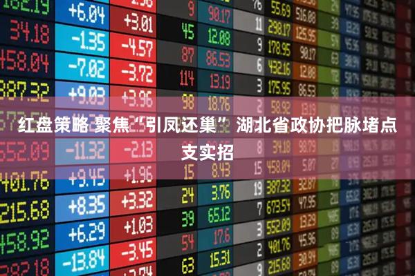 红盘策略 聚焦“引凤还巢” 湖北省政协把脉堵点支实招